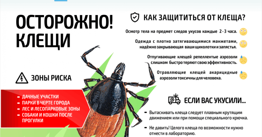 Внимание! Клещи! Внимание! Клещи!.